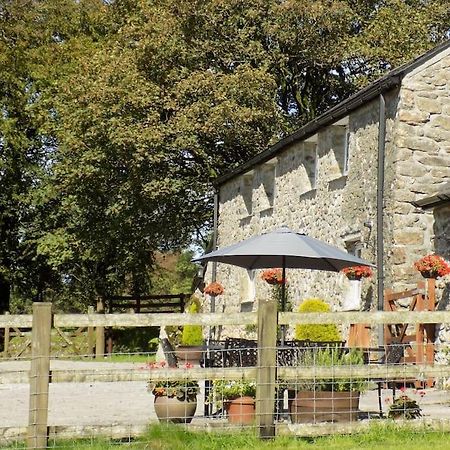 Lower Willsworthy Cottage Tavistock  Exteriör bild