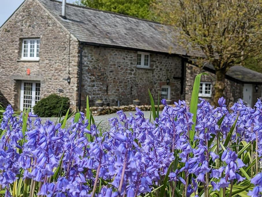 Lower Willsworthy Cottage Tavistock  Exteriör bild