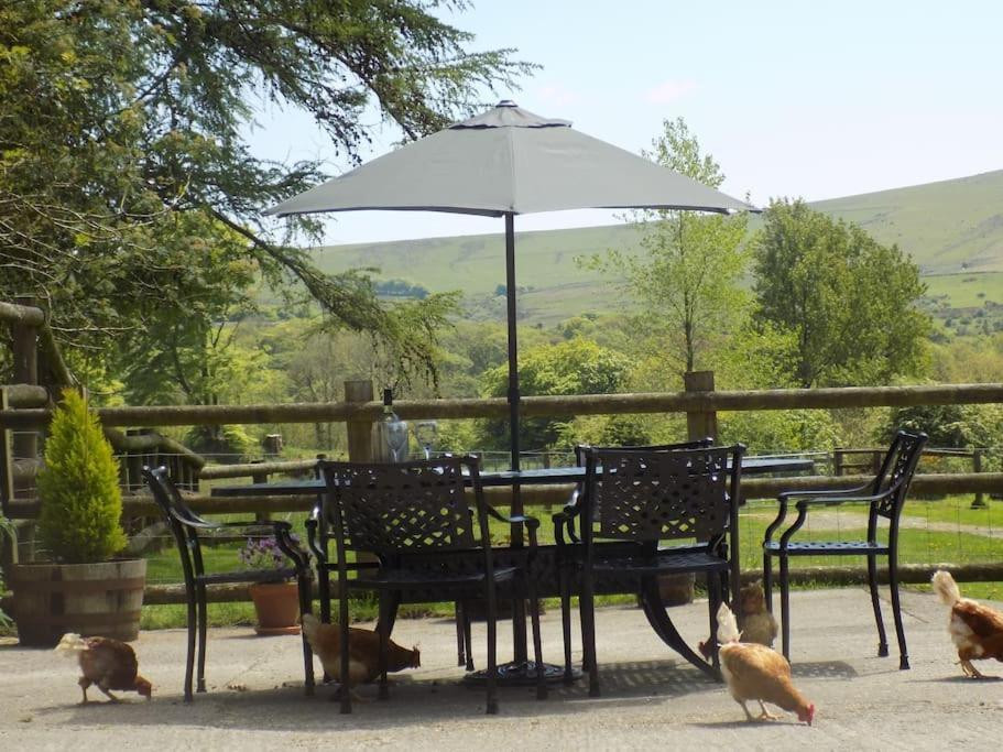 Lower Willsworthy Cottage Tavistock  Exteriör bild